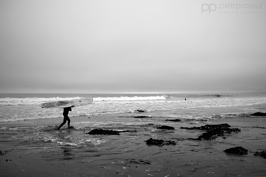 2015_X1S9833.jpg