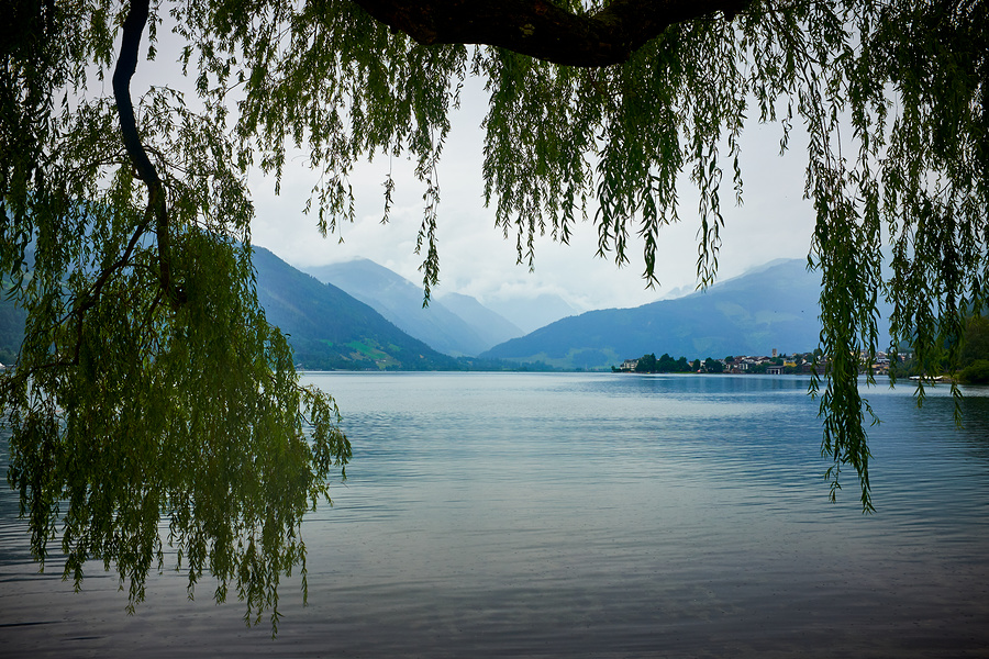 Jezero Zell