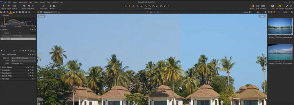 Capture One 21 Pro Standard
