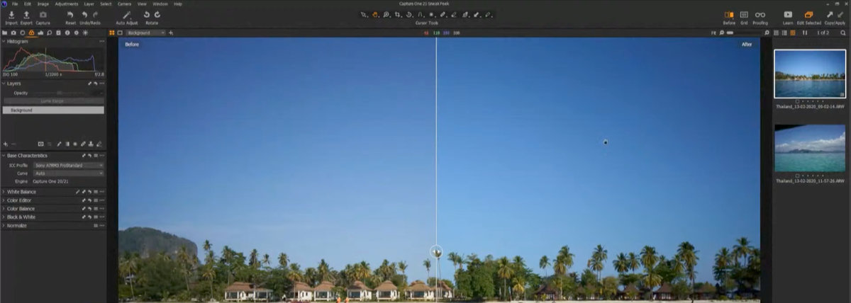 Capture One 21 Pro Standard