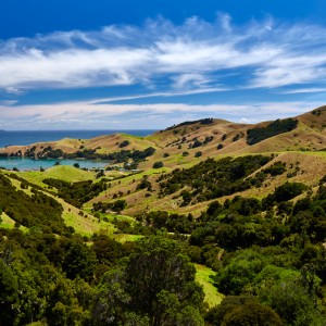 Coromandel