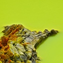 Devil`s Cave