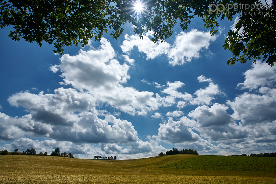 Vysočina na jaře