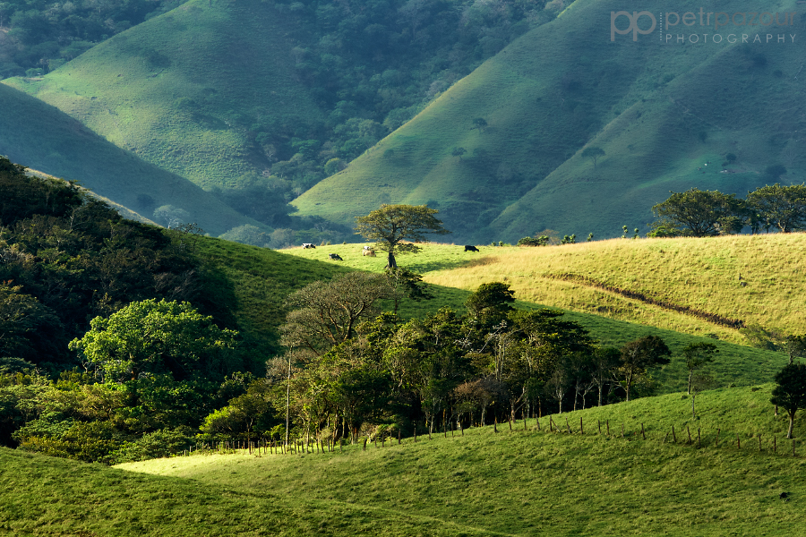 Cestou do Monteverde
