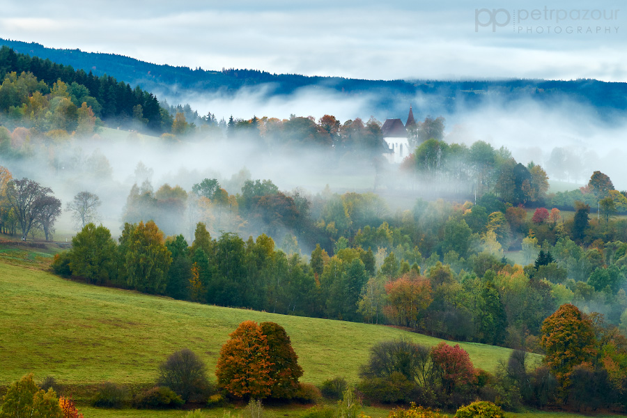 Šumava u Kašperských Hor