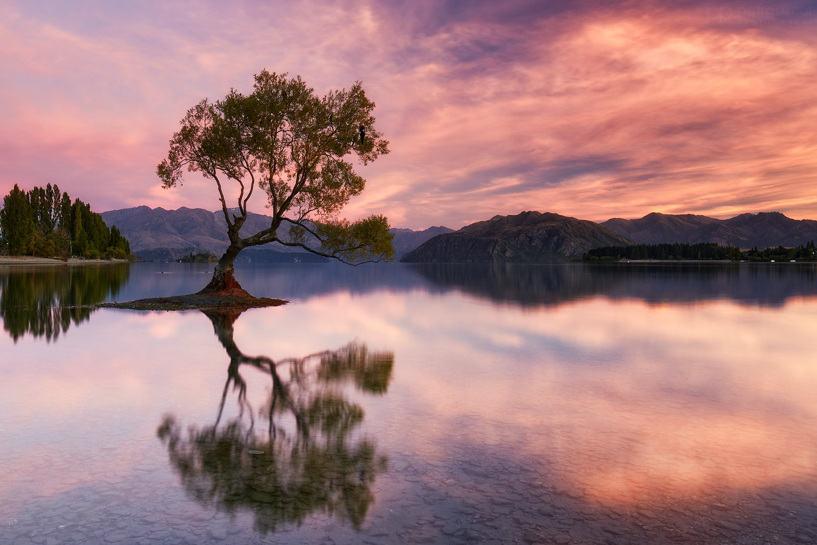 Wanaka