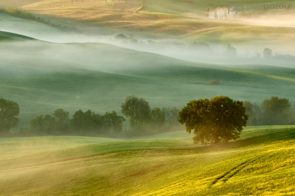 Kouzelné ráno v údolí Val d'Orcia