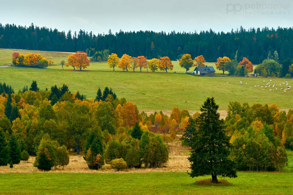 Podzimní Šumava