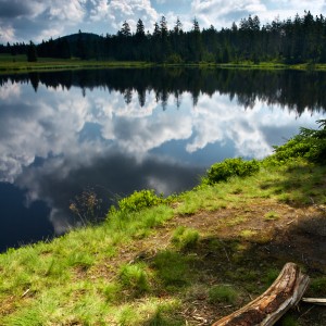 Krušnohorská krajina