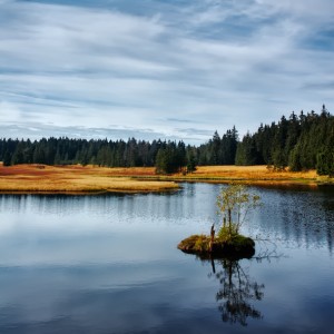 Rolavsko