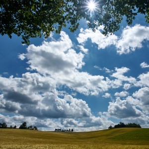 Vysočina na jaře Vysočina na jaře
