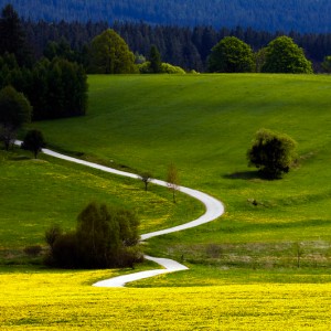 Jarní Šumava