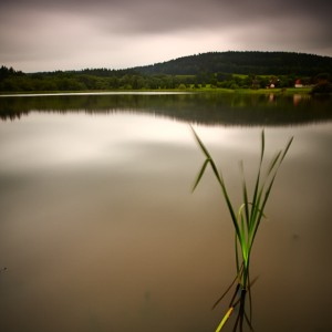 Podvečerní Podblanicko