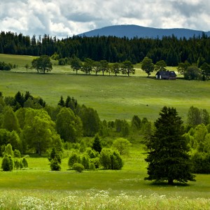Jarní Šumava