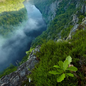 Vltava z vyhlídky Máj