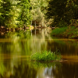 Ostrůvek