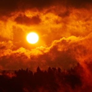 Sunshine