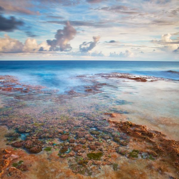 Tikehau