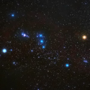Orion