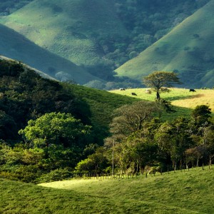 Cestou do Monteverde