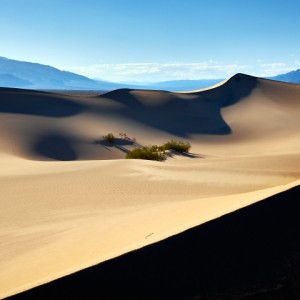 Mesquite Sand Dunes - Death Valley Mesquite Sand Dunes - Death Valley