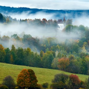 Šumava u Kašperských Hor