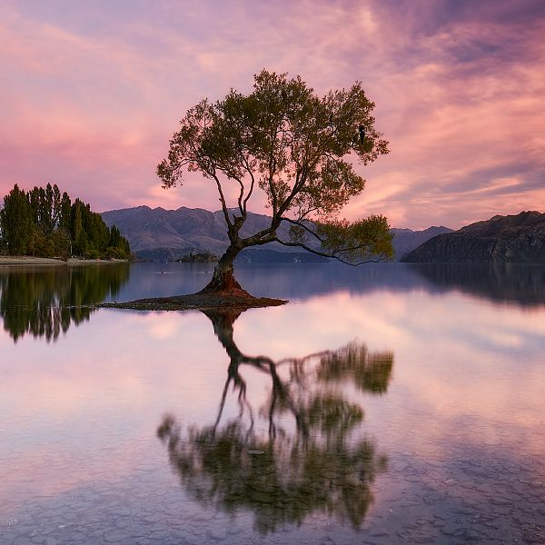 Wanaka
