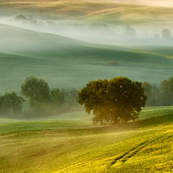 Kouzelné ráno v údolí Val d'Orcia