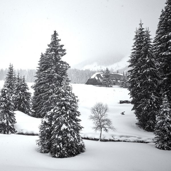 Zasněžená Šumava