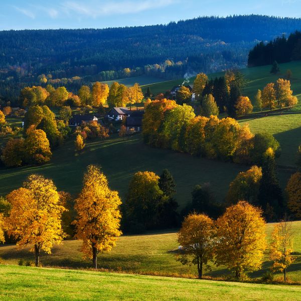 Šumava od Zámyšle