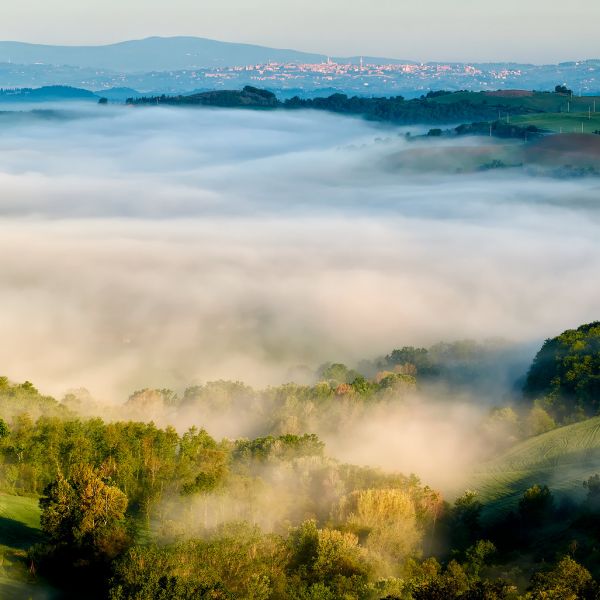 Siena
